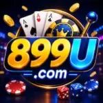 899u-game