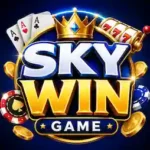 skywin-game