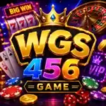 wgs456-game
