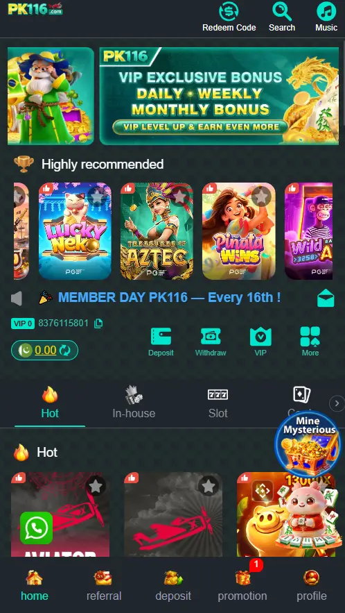 PK116 Game